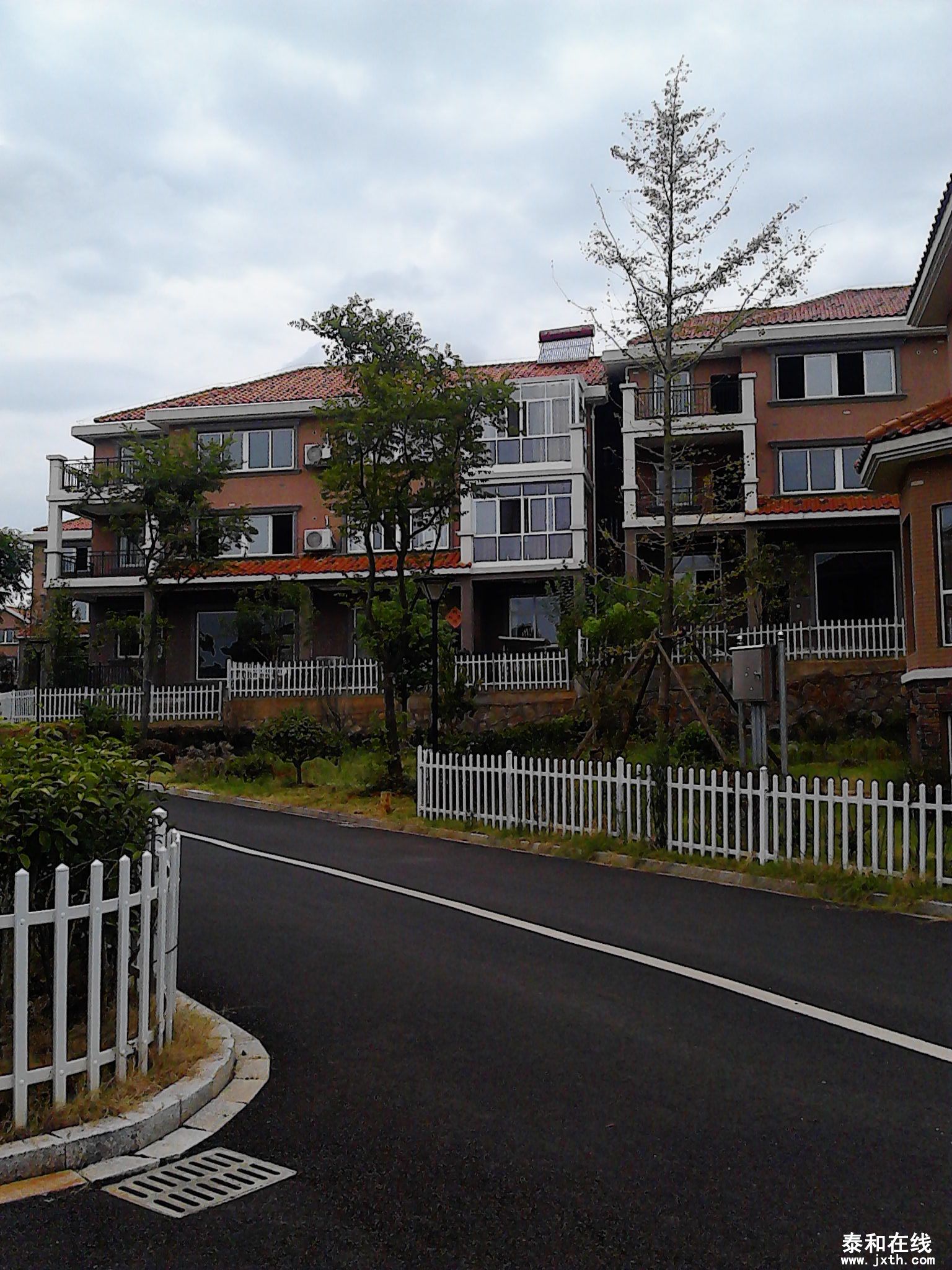 IMG_20130816_132958.jpg