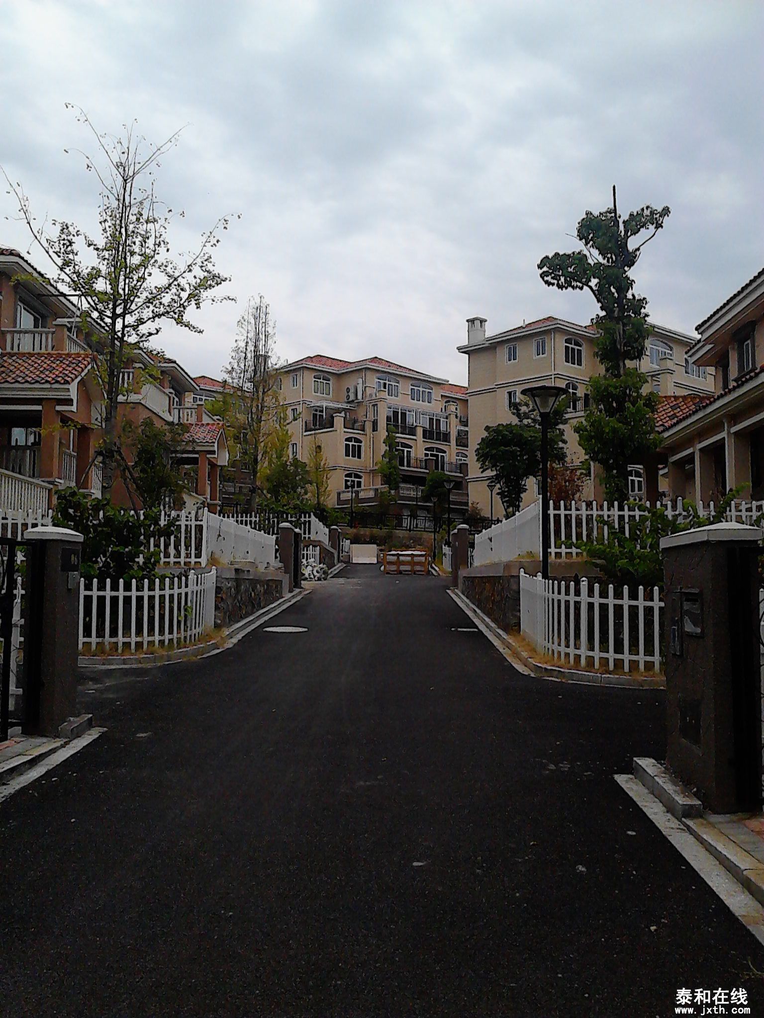 IMG_20130816_133026.jpg