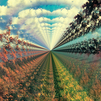 897e8e9ajw1e81mnfwdwrg20b40b4kjl.gif