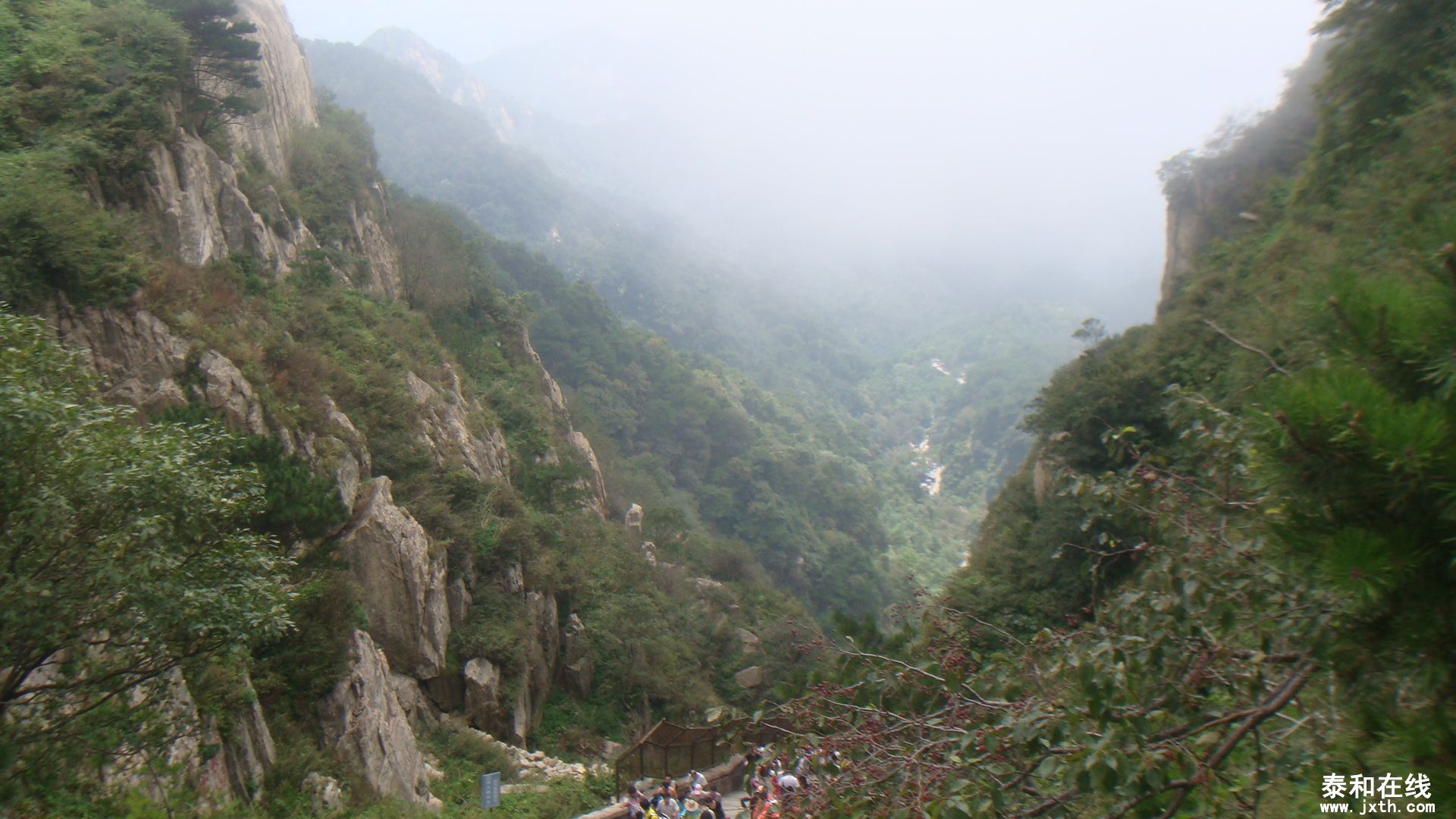 DSC02313.JPG