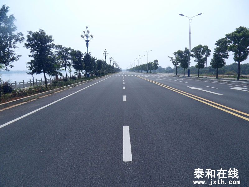 SDC10509.jpg