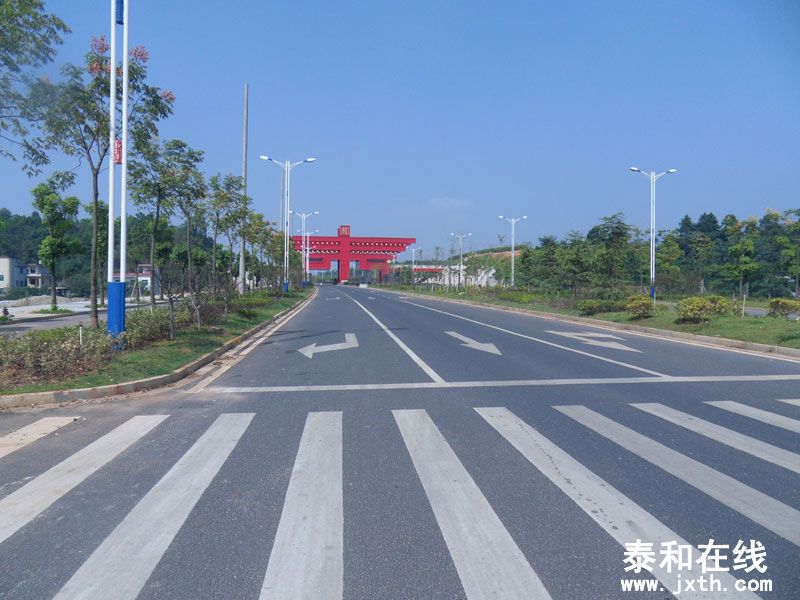 SDC10490.jpg