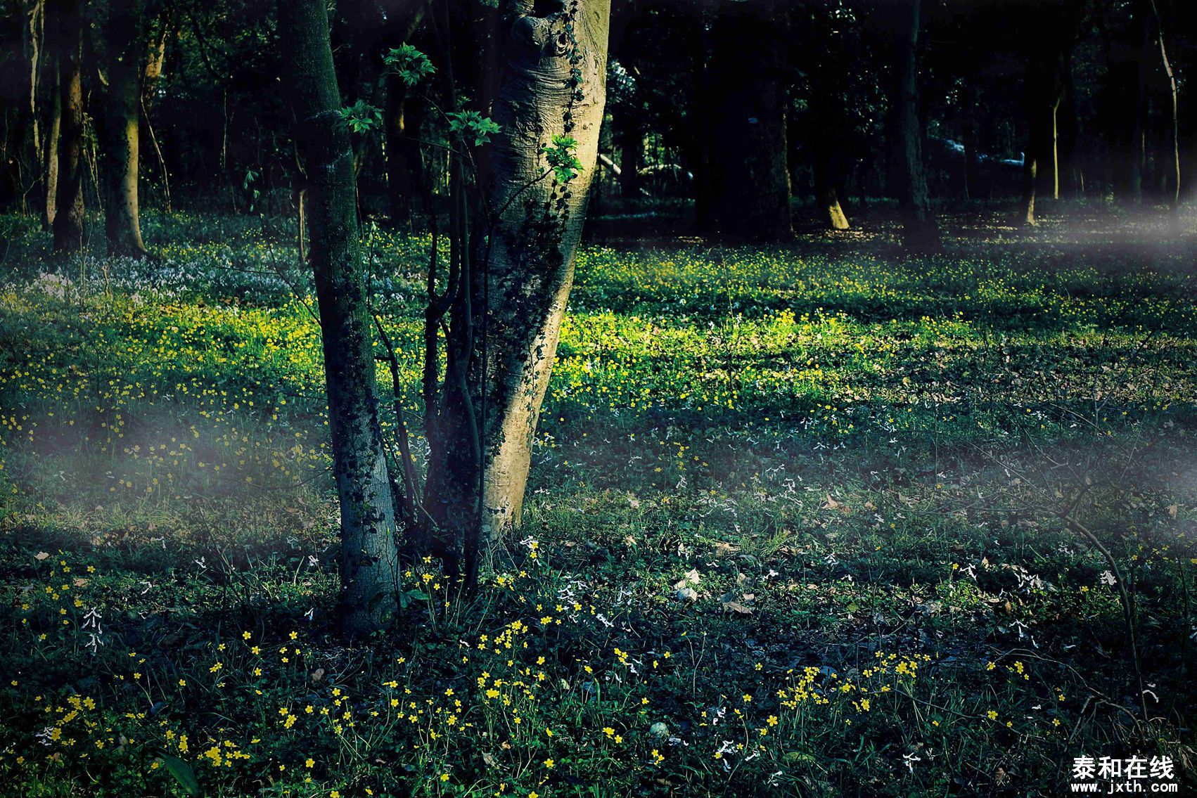 DPP_0011.jpg