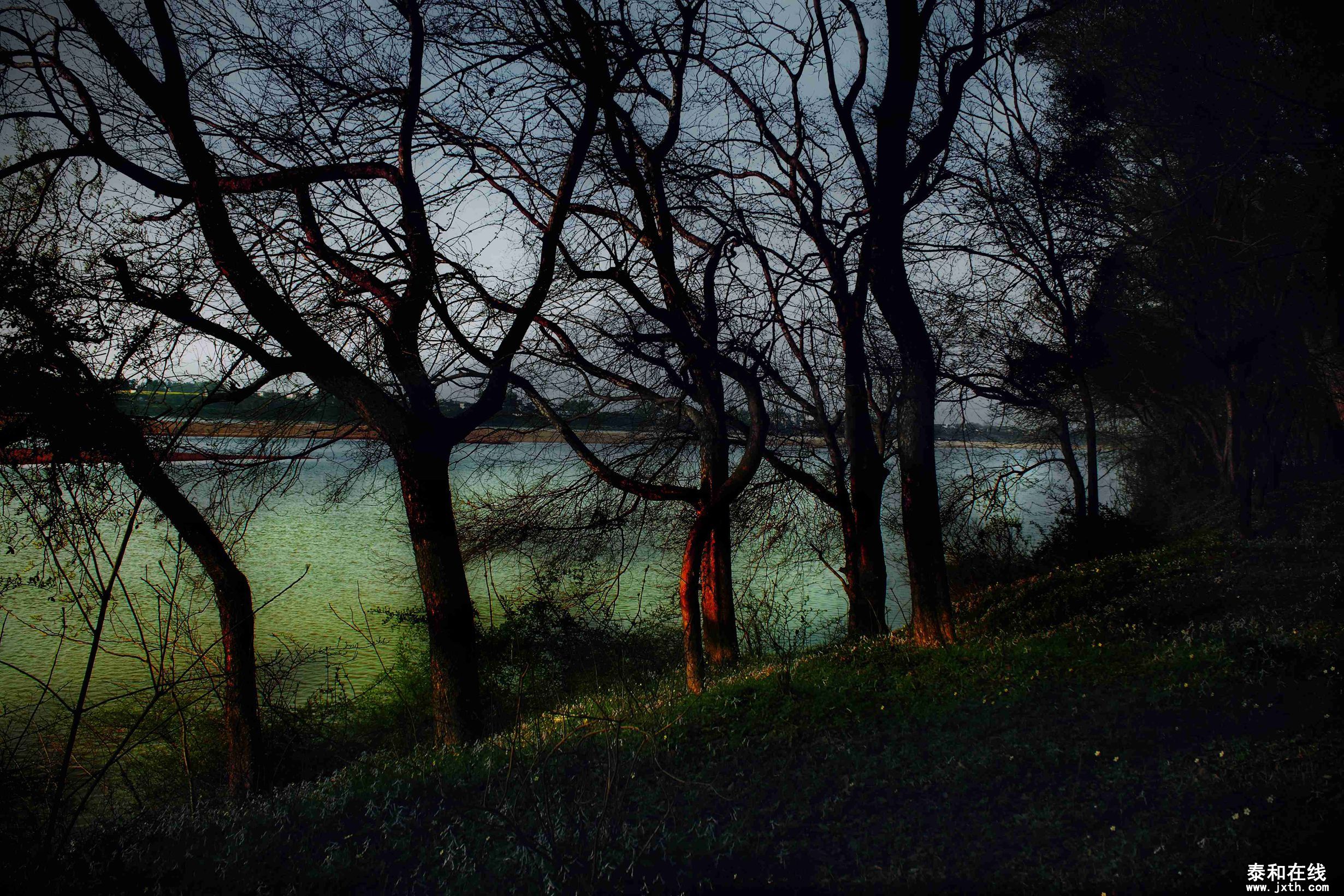 DPP_0039.jpg