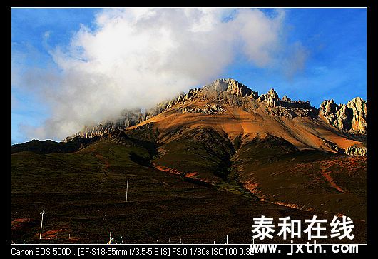 nEO_IMG_IMG_0981.jpg