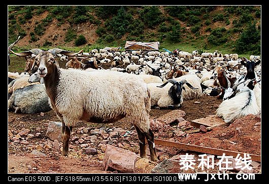 nEO_IMG_IMG_1736.jpg