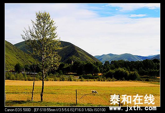 nEO_IMG_IMG_1842.jpg