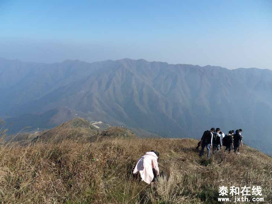 SDC15607.jpg