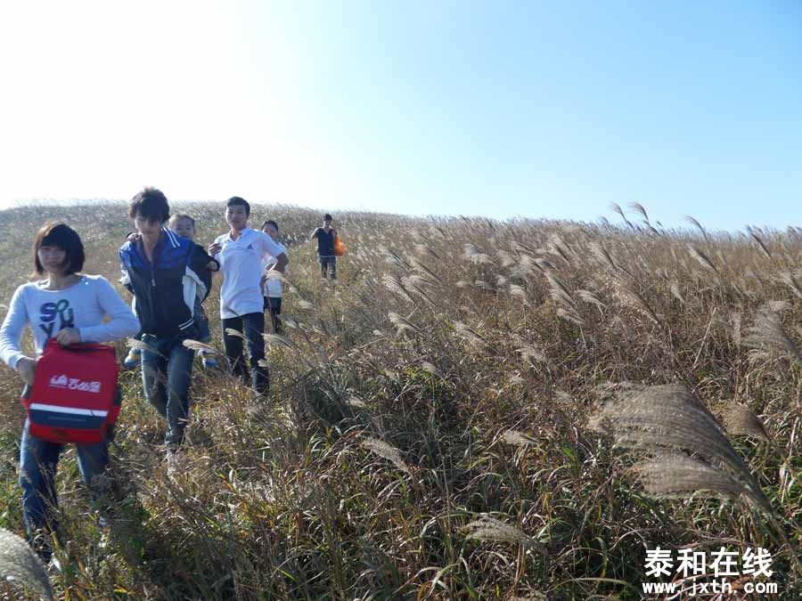 SDC15594.jpg