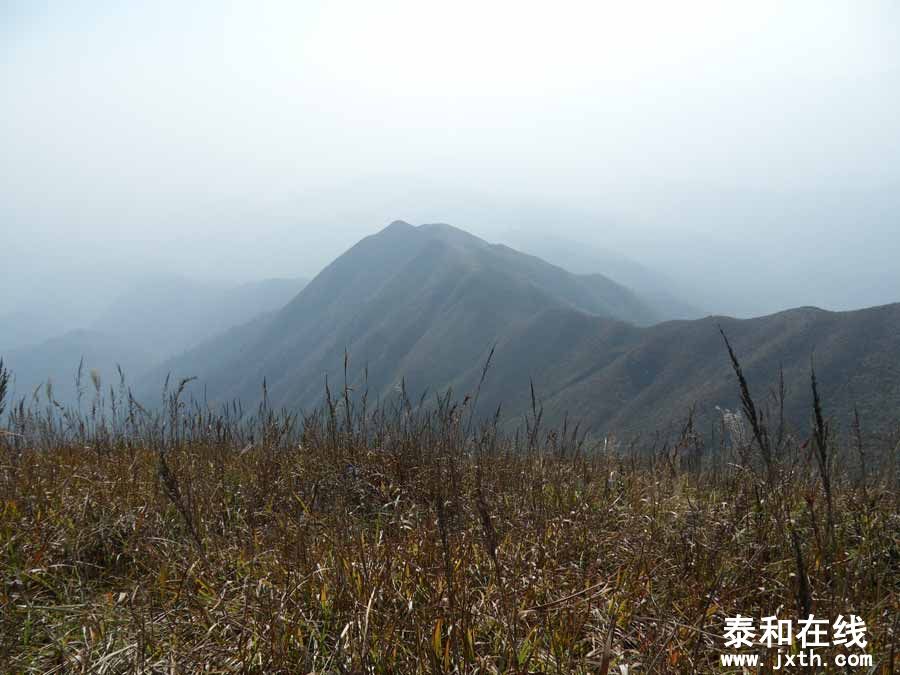 SDC15570.jpg