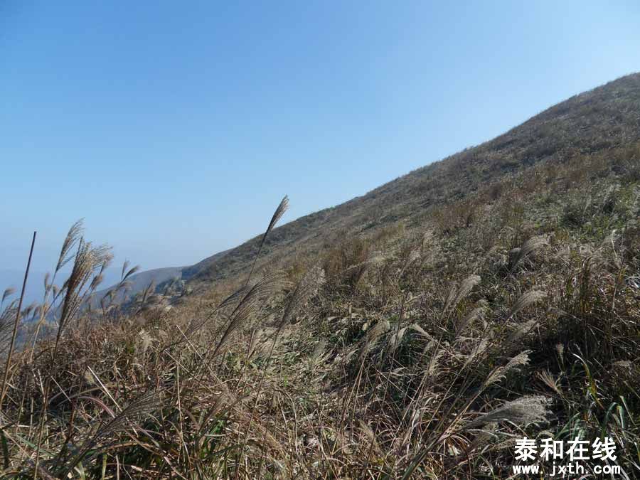SDC15553.jpg