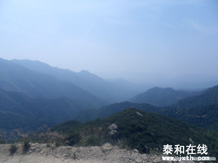 SDC10603.JPG