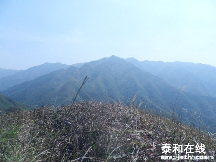 SDC10604.JPG