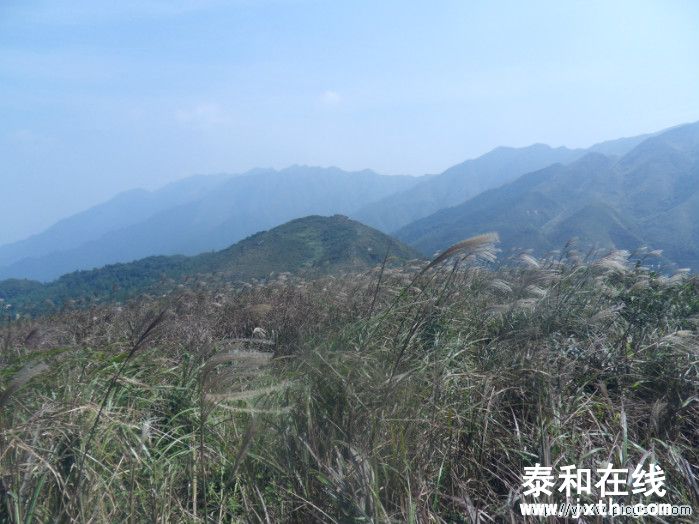 SDC10606.JPG