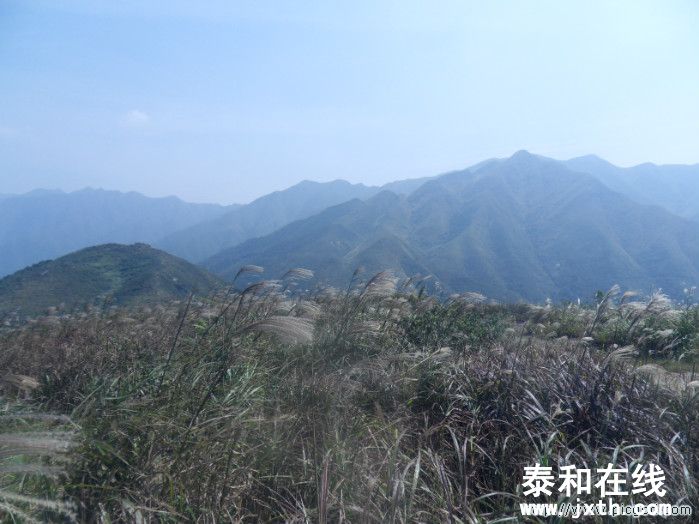 SDC10607.JPG