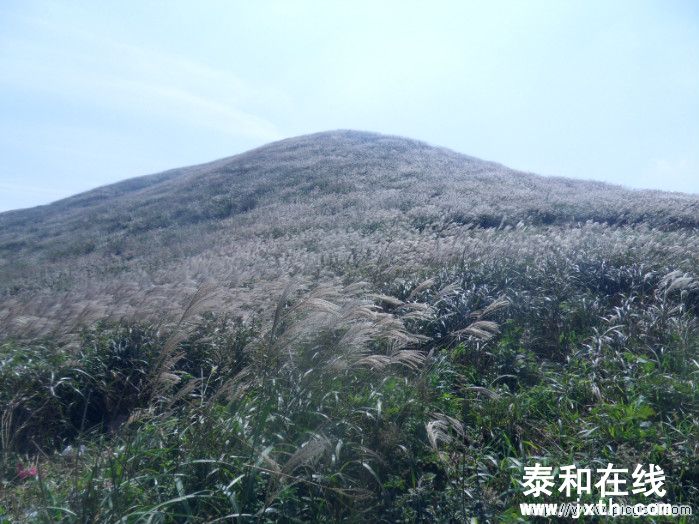 SDC10612.JPG