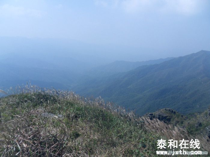 SDC10630.JPG