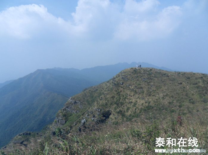 SDC10633.JPG