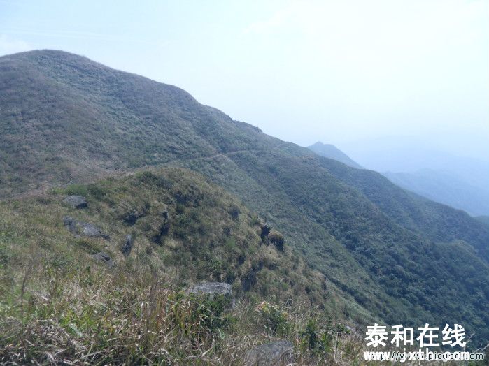 SDC10635.JPG