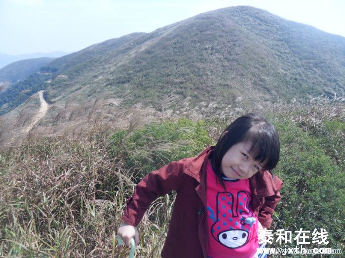 SDC10639.JPG