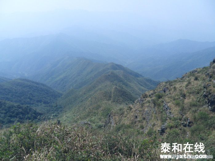 SDC10643.JPG