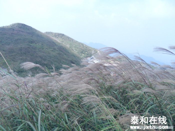 SDC10666.JPG