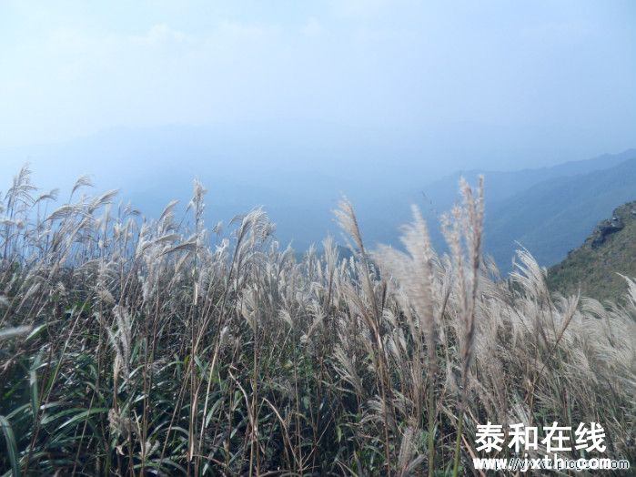 SDC10669.JPG