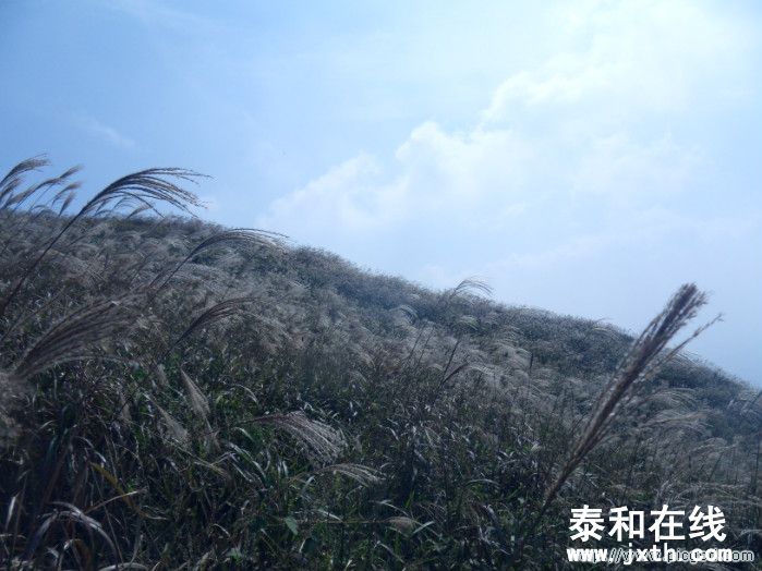 SDC10670.JPG