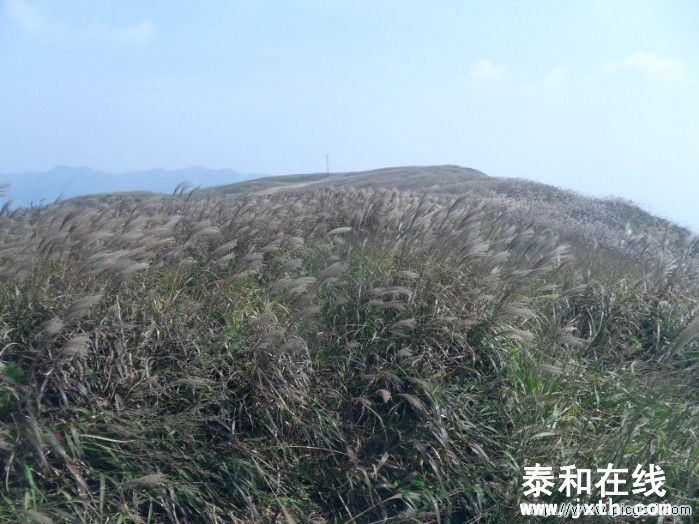 SDC10673.JPG