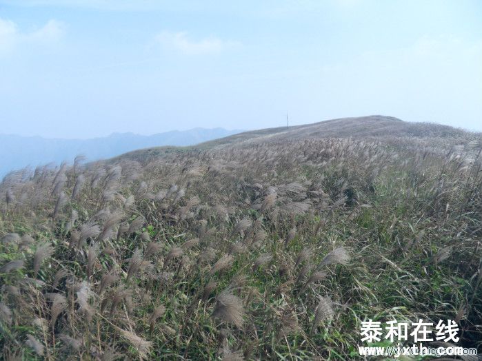 SDC10677.JPG