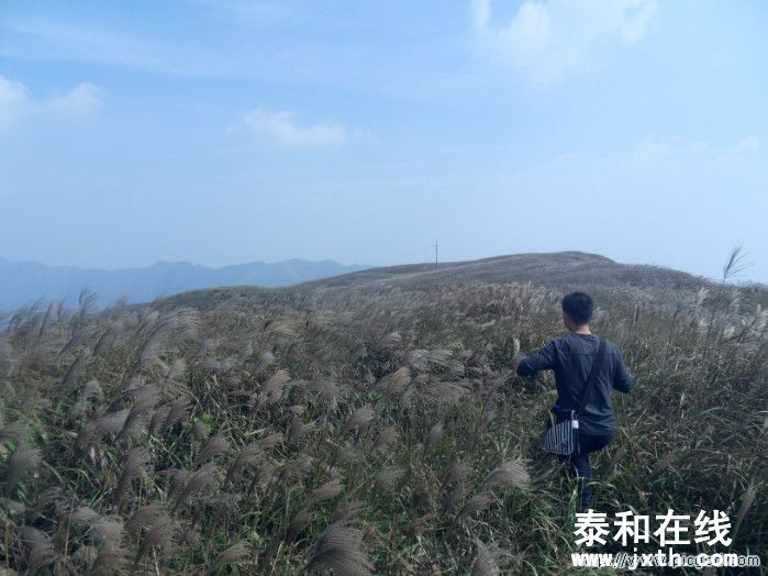 SDC10678.JPG