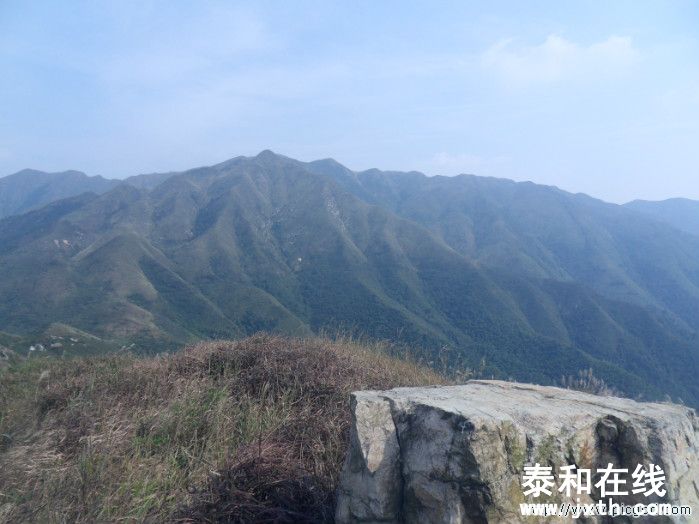 SDC10702.JPG