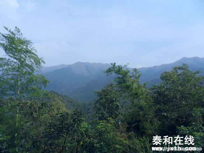 SDC10704.JPG