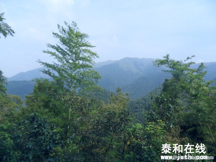 SDC10705.JPG