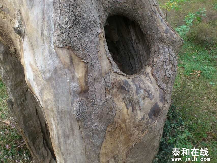 QQͼƬ20131105091404.jpg