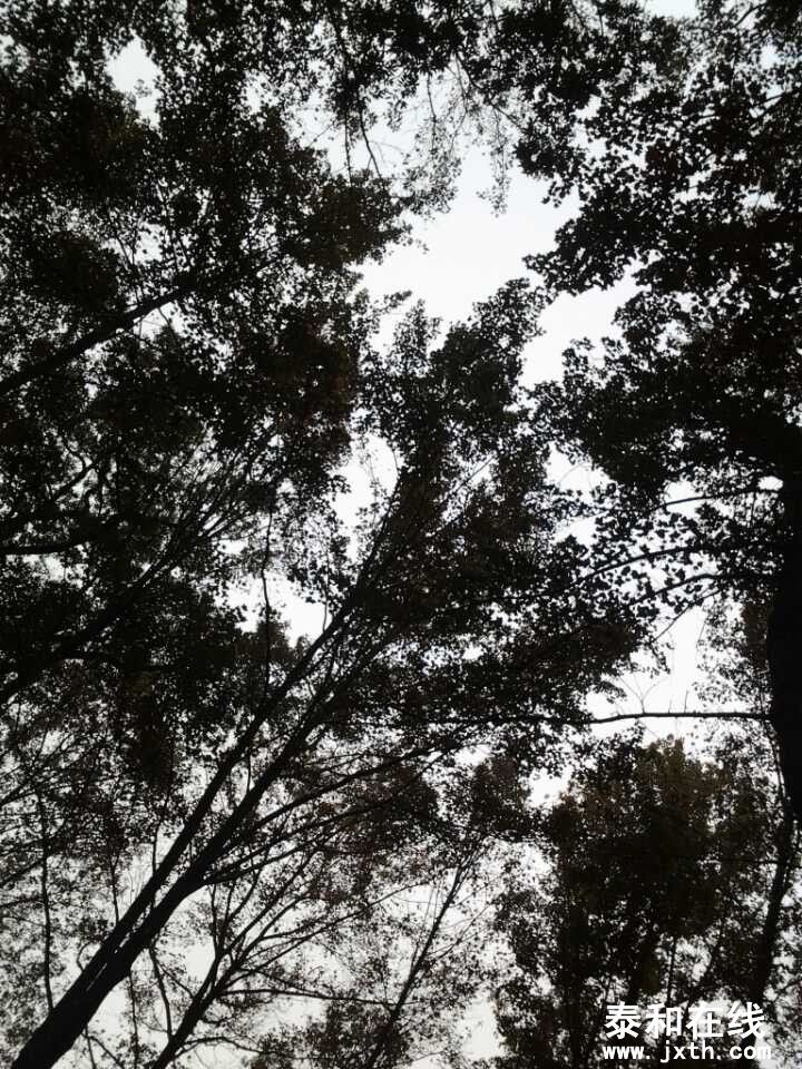 QQͼƬ20131105093212.jpg