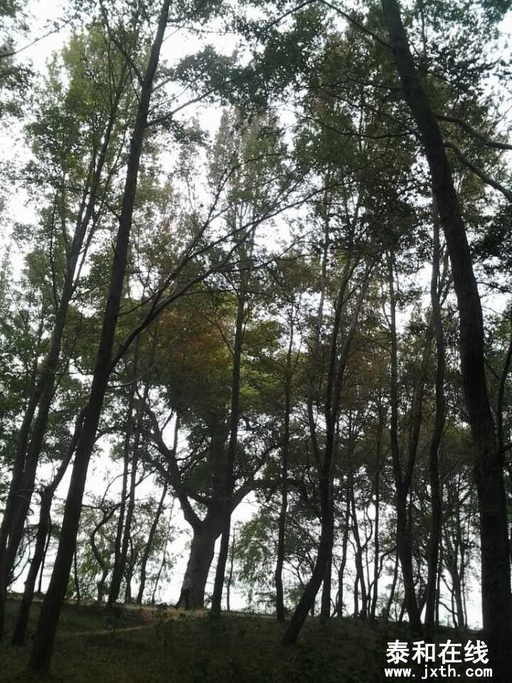 QQͼƬ20131105092544.jpg