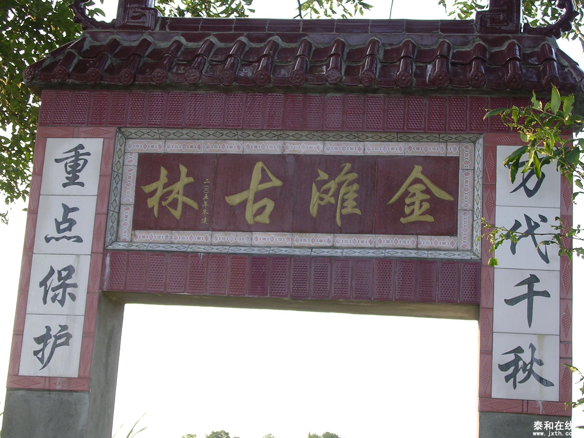 DSCN1143.JPG