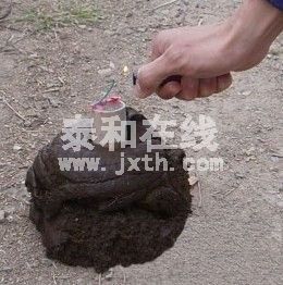 22.jpg