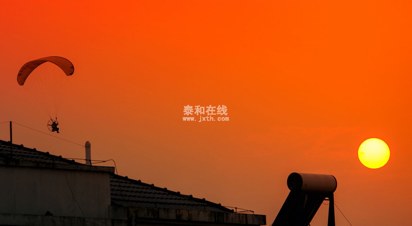 DSC_7946-1.jpg