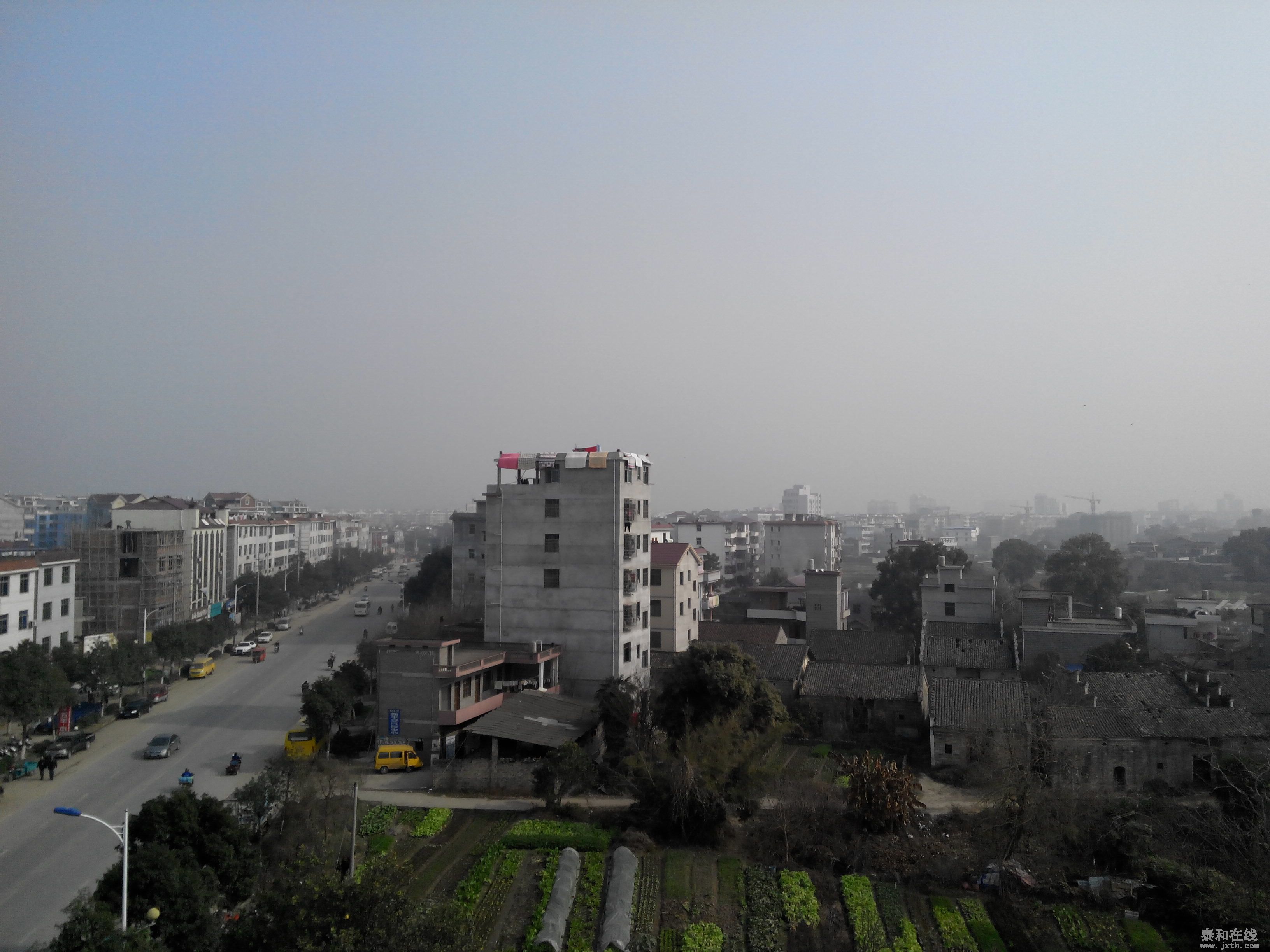 IMG_20140117_104305.jpg