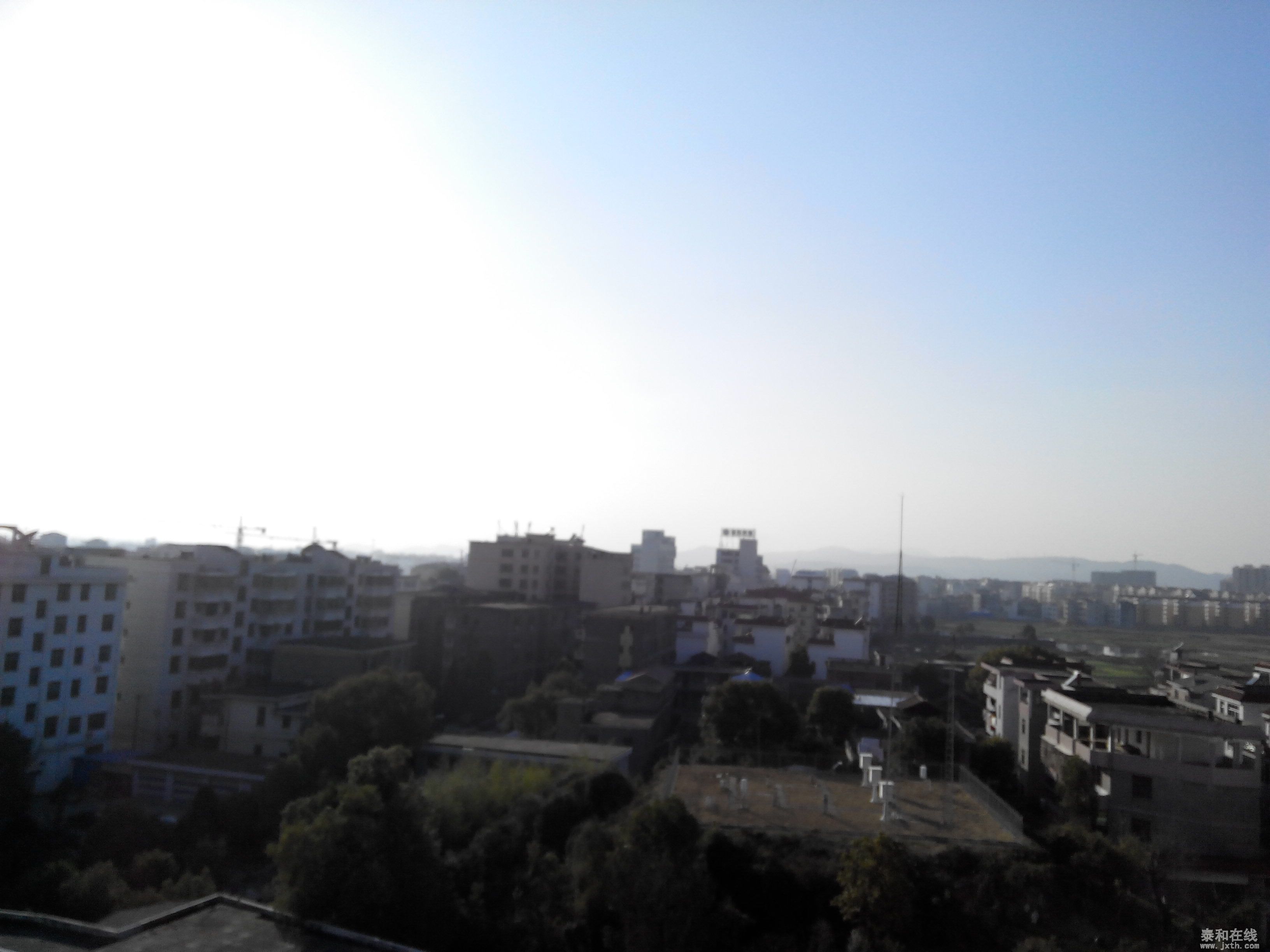 IMG_20140122_161941.jpg