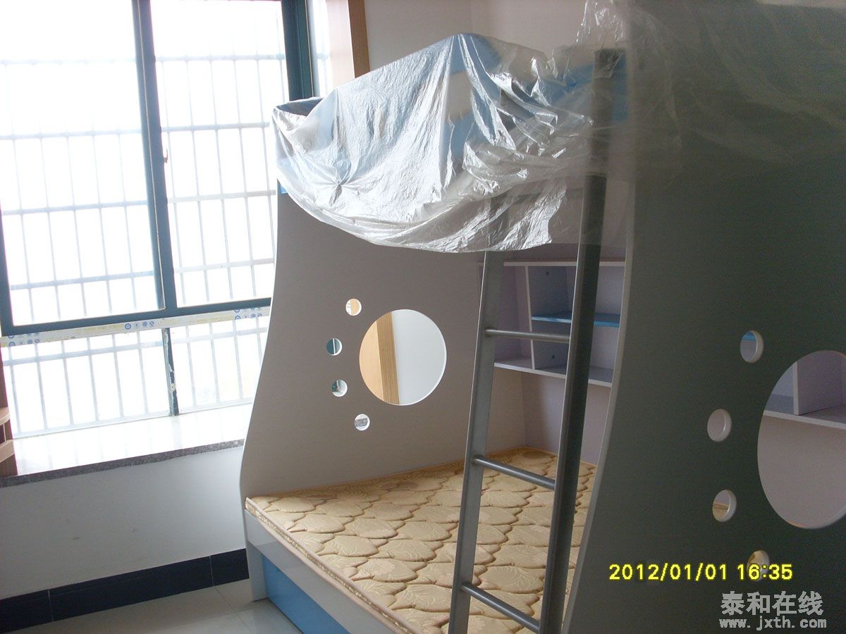 SL386504.JPG