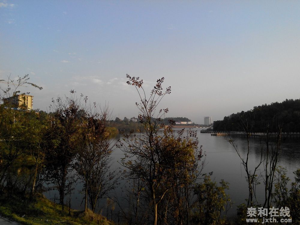 IMG_20131123_163137.jpg