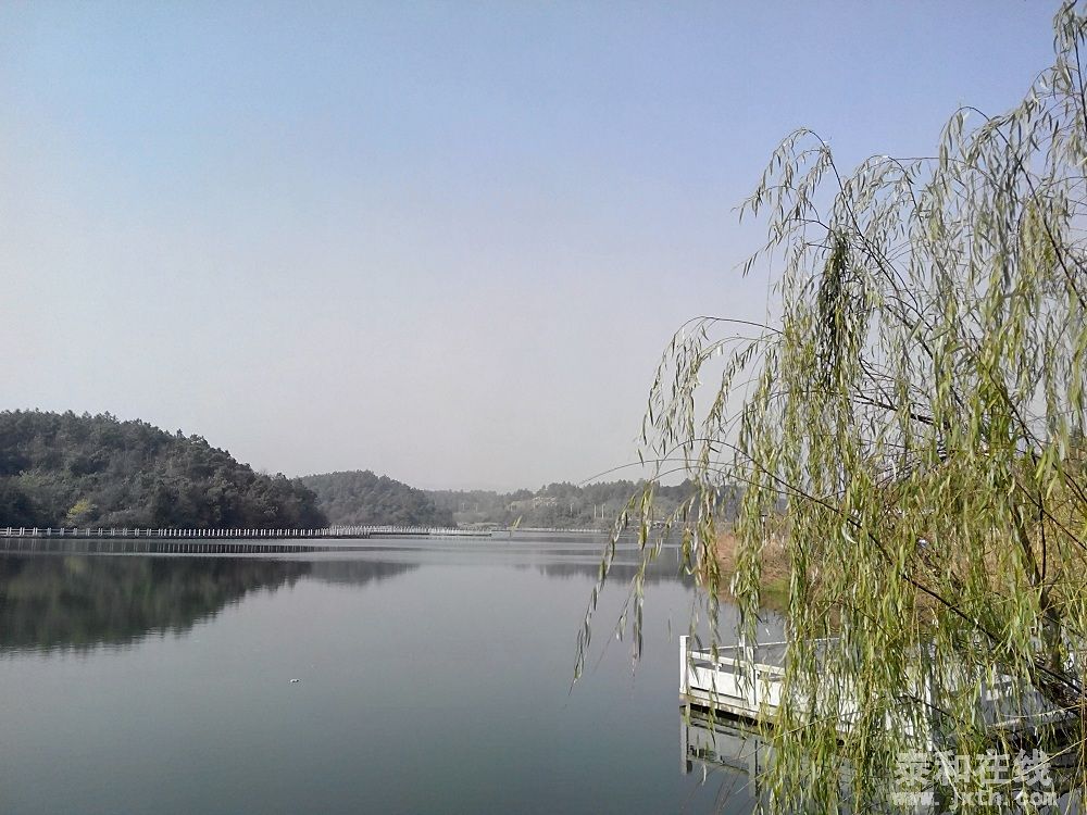 IMG_20131222_120803.jpg
