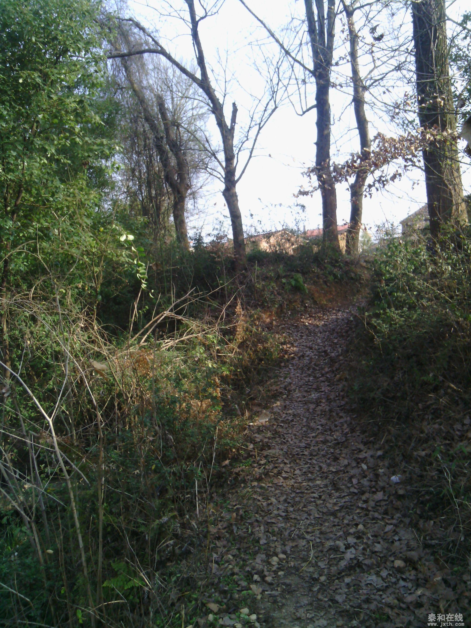 IMG_20140202_095350.jpg