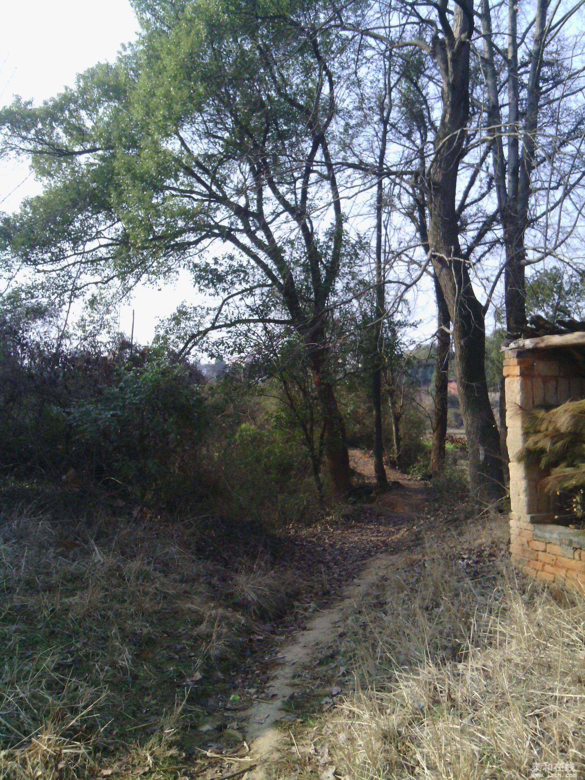 IMG_20140202_095316.jpg