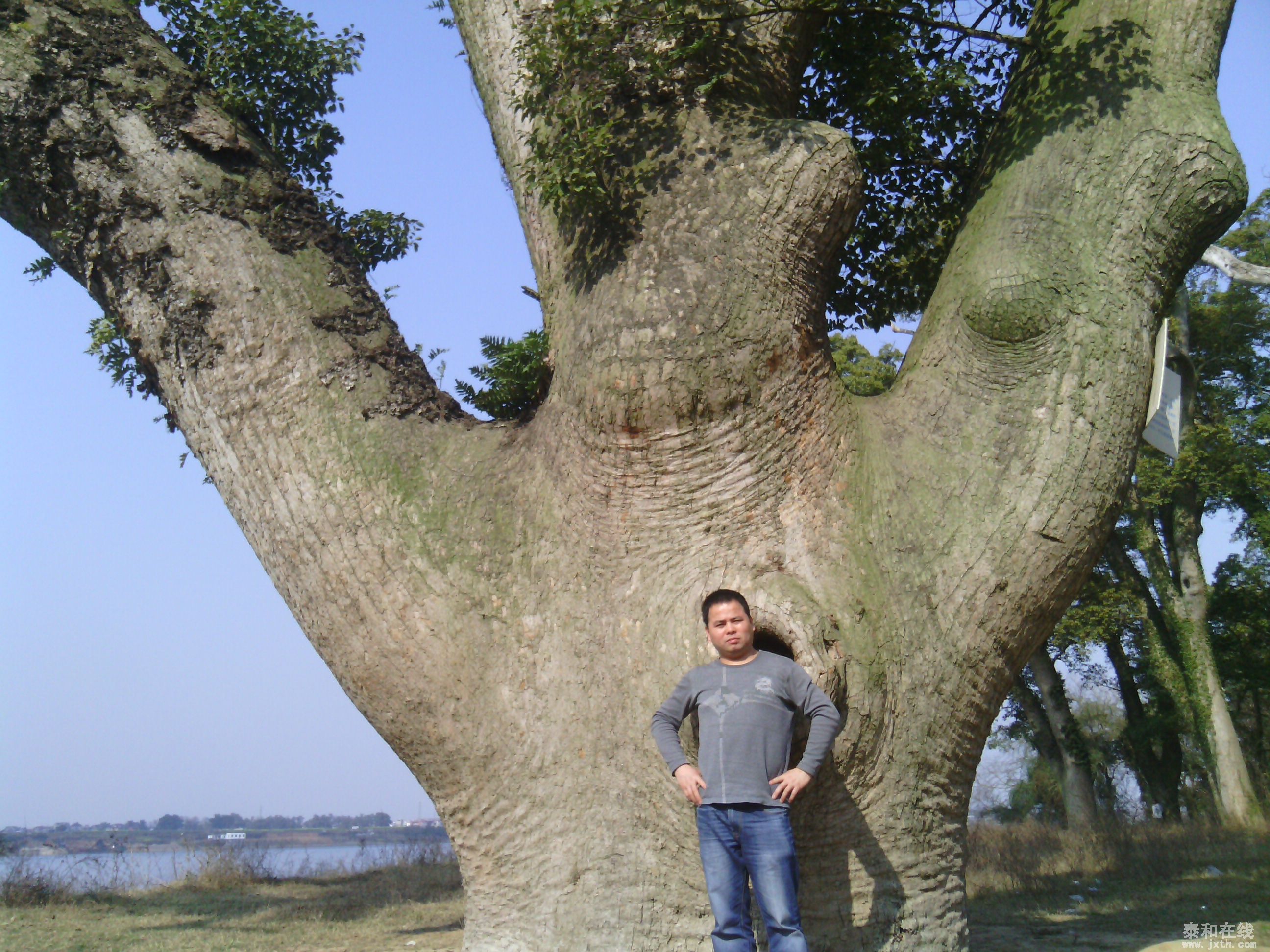 IMG_20140203_143843.jpg