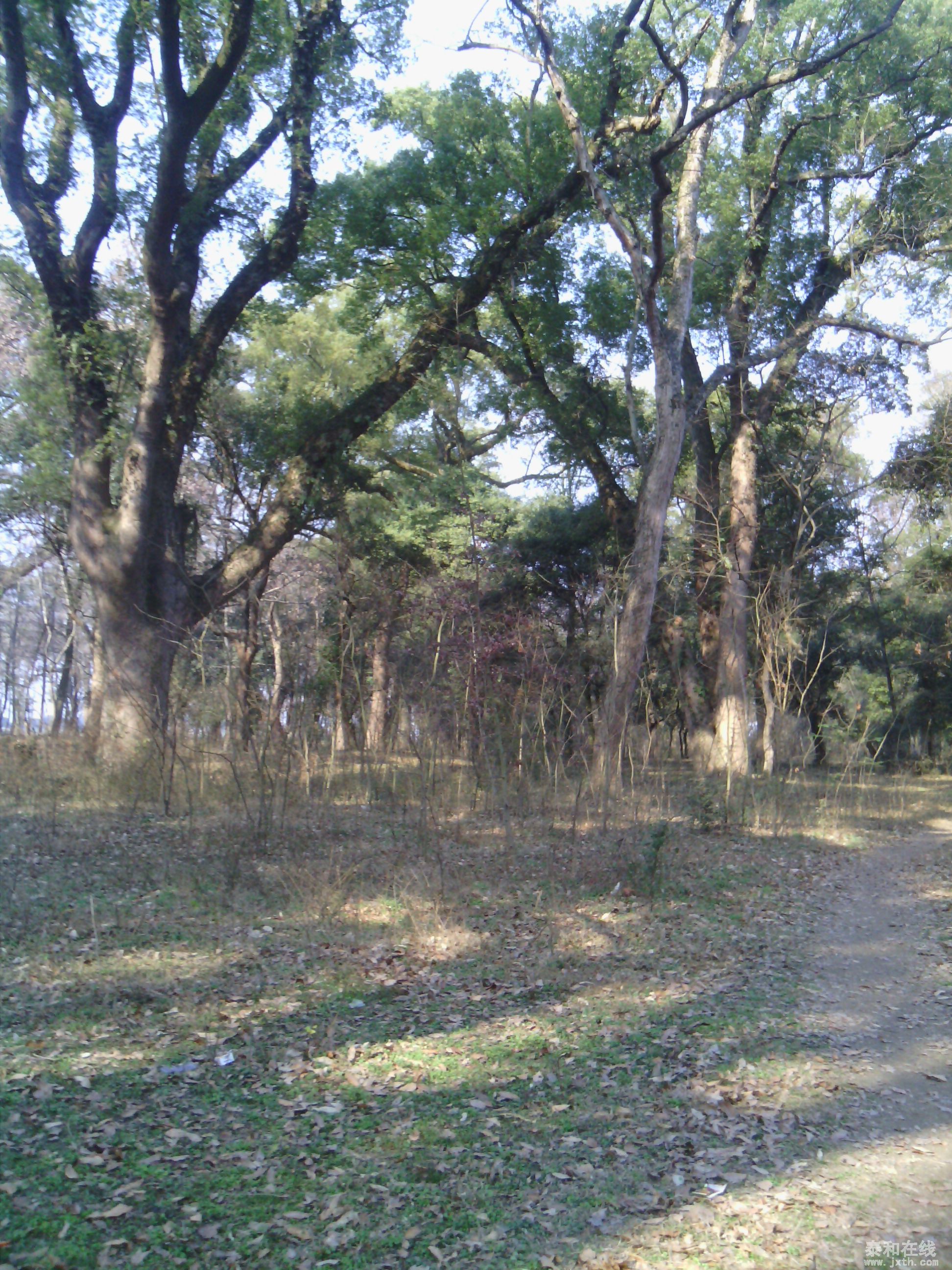 IMG_20140203_144438.jpg