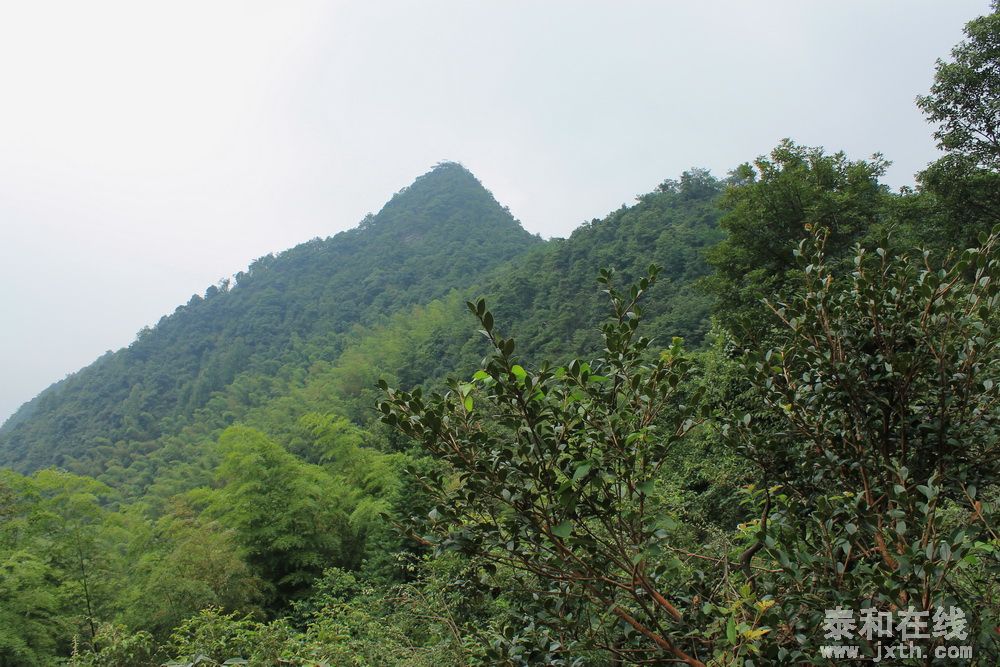 IMG_7740.jpg